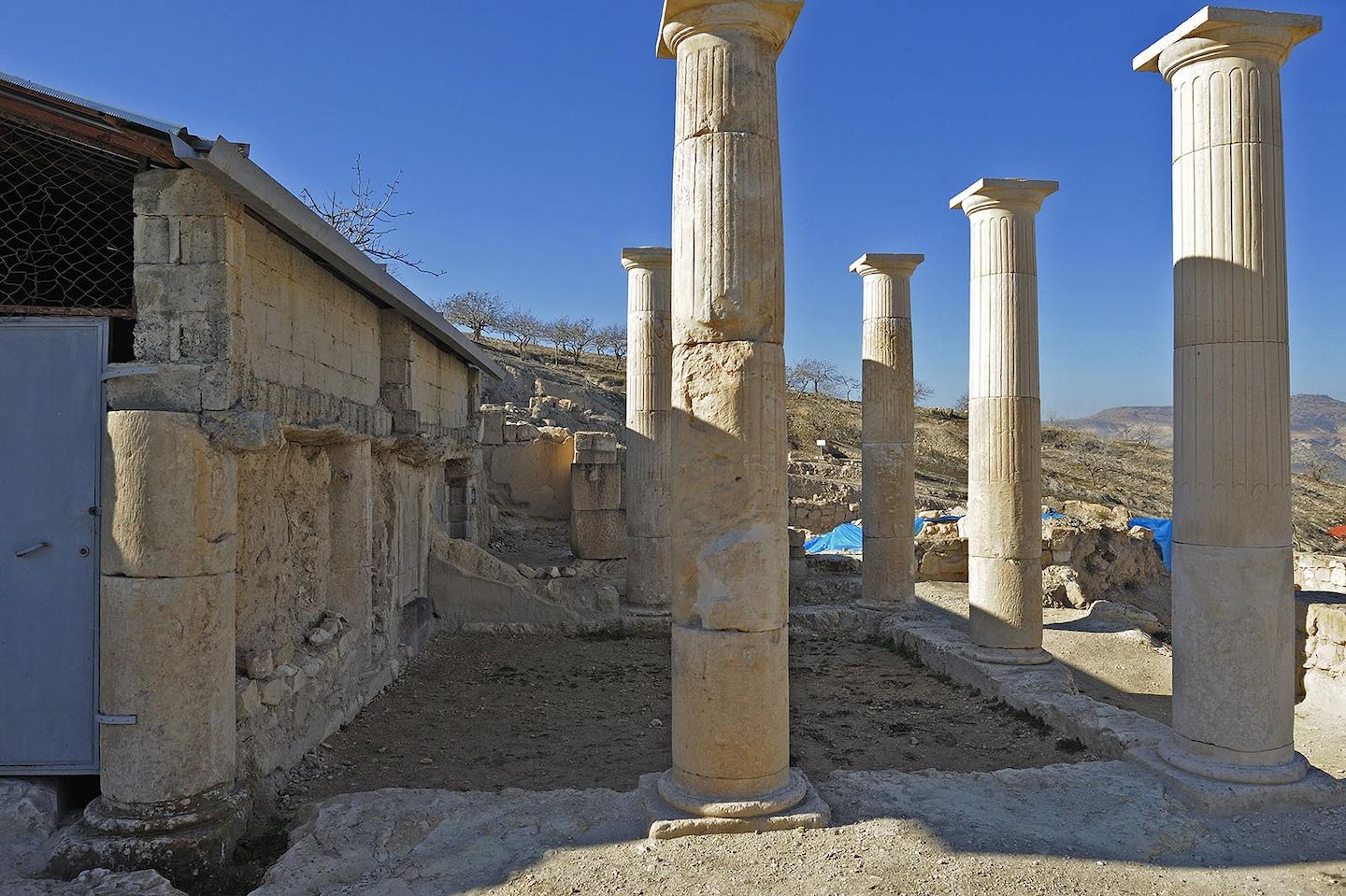 Gallery image 4